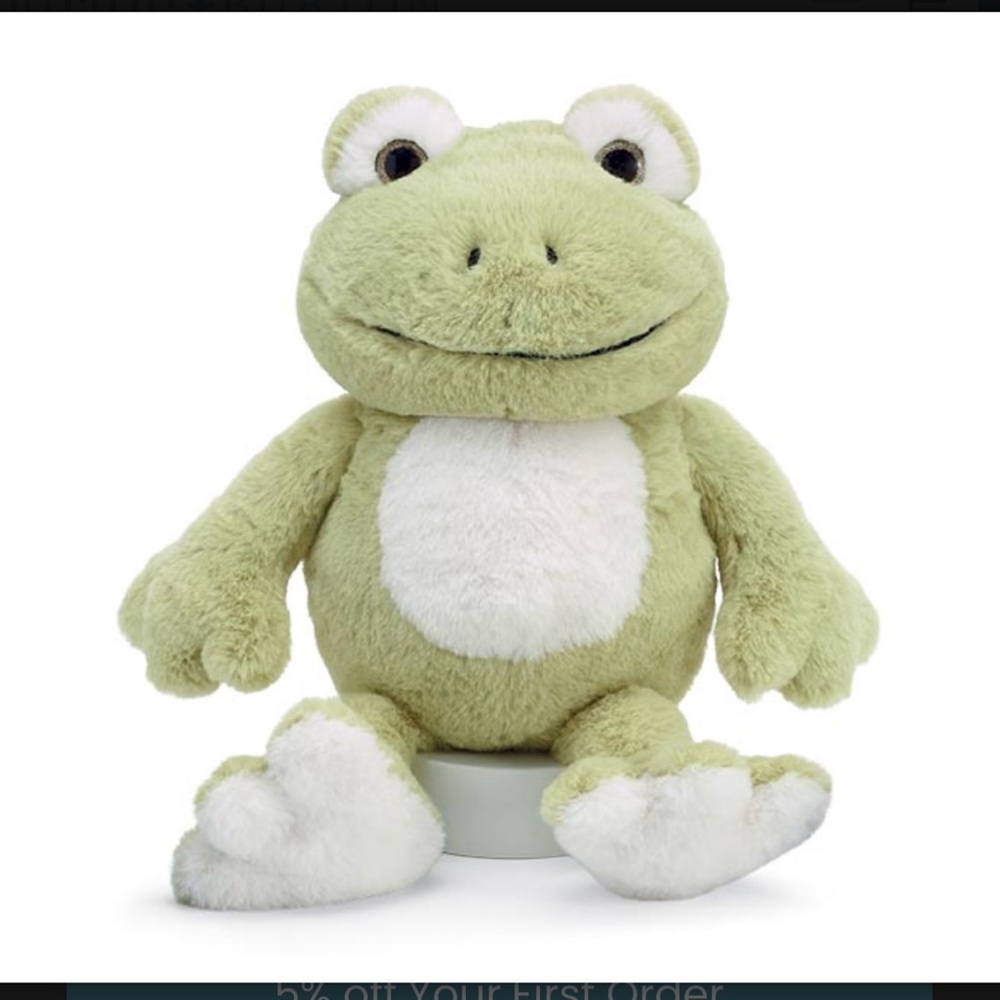 NWT Burton + Burton Green Frog Plush with Large Eyes 12”